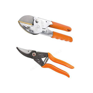 Falcon Secateur Major