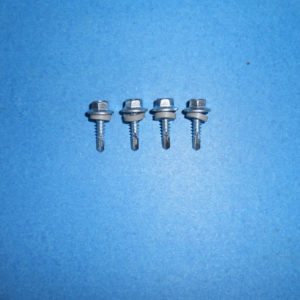 Magnetic Screw