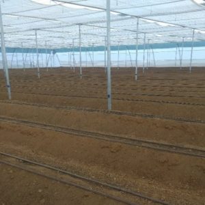 Drip System